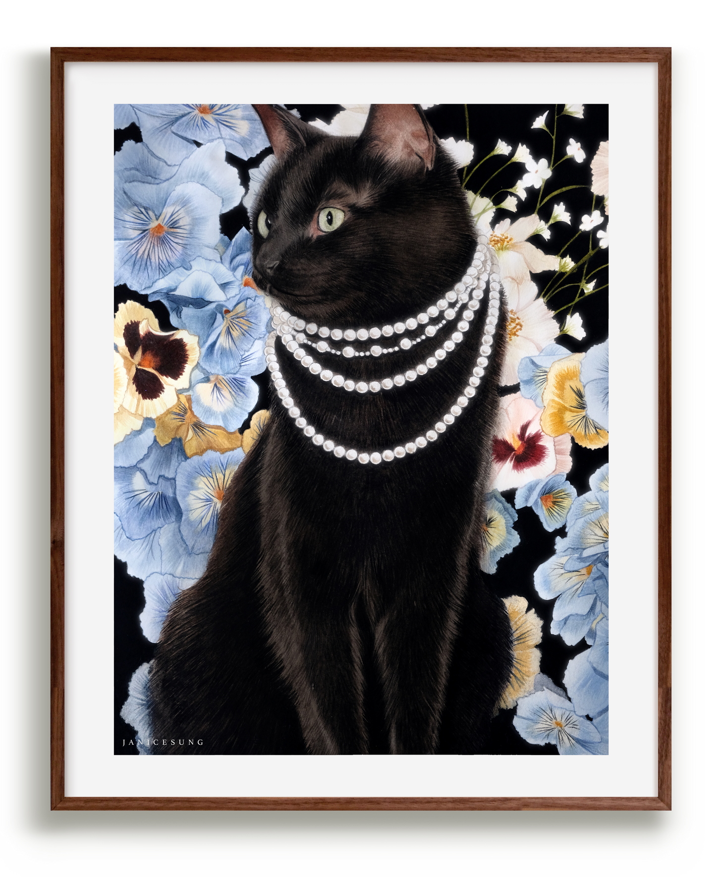 Fancy Cat