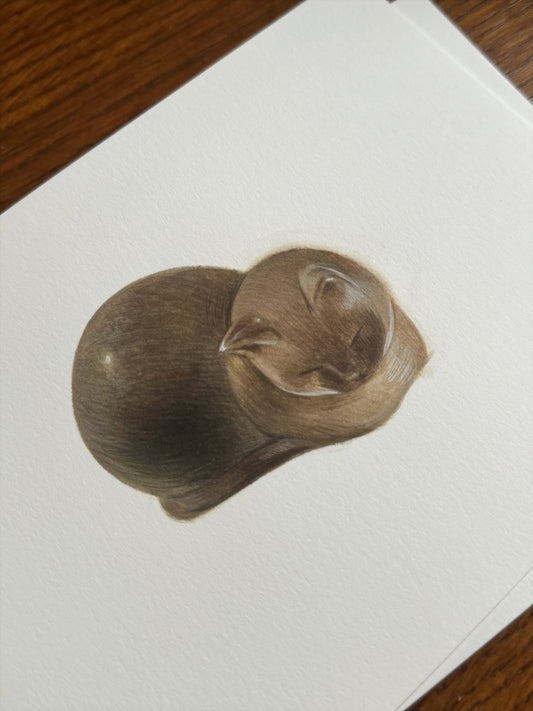 Siamese Study • Original Watercolour Painting