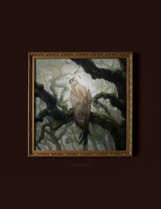 Ocypete • Limited Edition Print